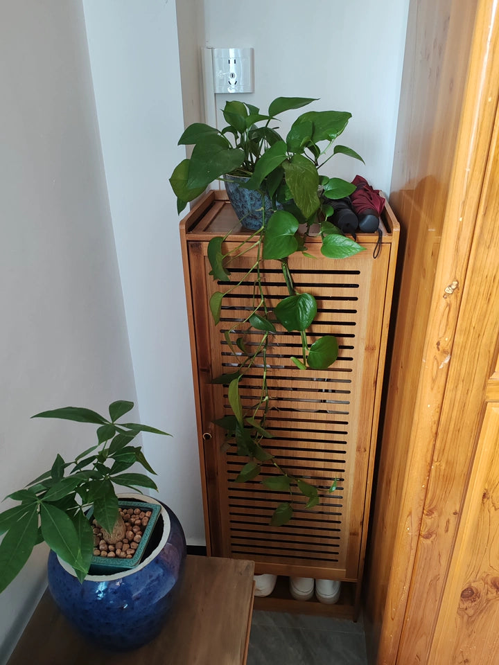 Dust-proof Space Saving Shoe Cabinets