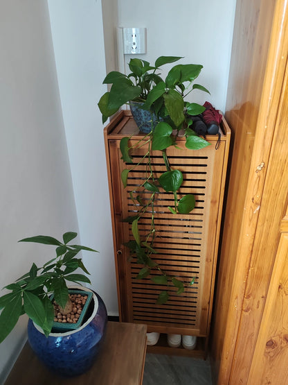 Dust-proof Space Saving Shoe Cabinets