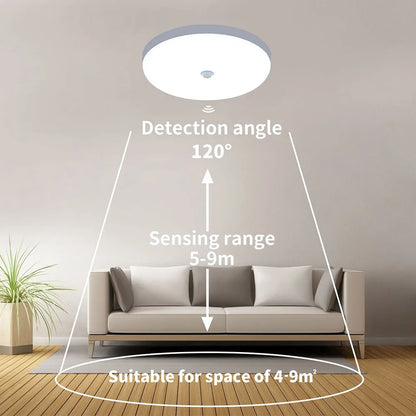 Smart Home Motion Sensor Lights