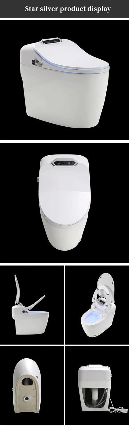 Fully Automatic Self Clean Toilet Seat Public English Voice Playback